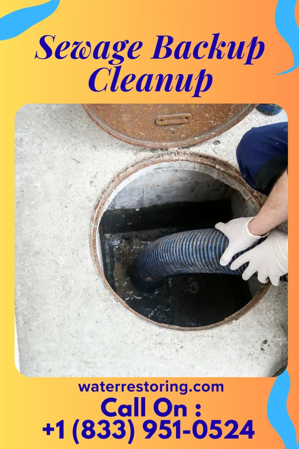 Sewage Backup Cleanup in Barnwell, SC